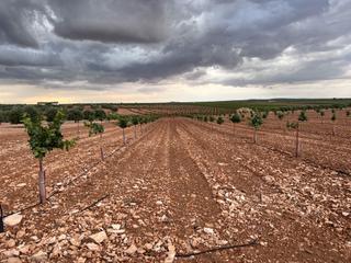 Finca rústica a N/a