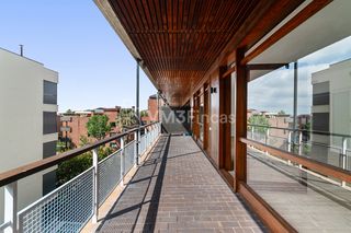 Lloguer Pis  Passeig de la bonanova