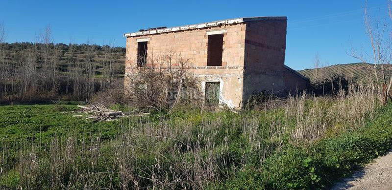 Foto 7f4c5c7b-447b-4c1c-bed9-f9e10028d7f9. Landgut in n/a in Alcaudete