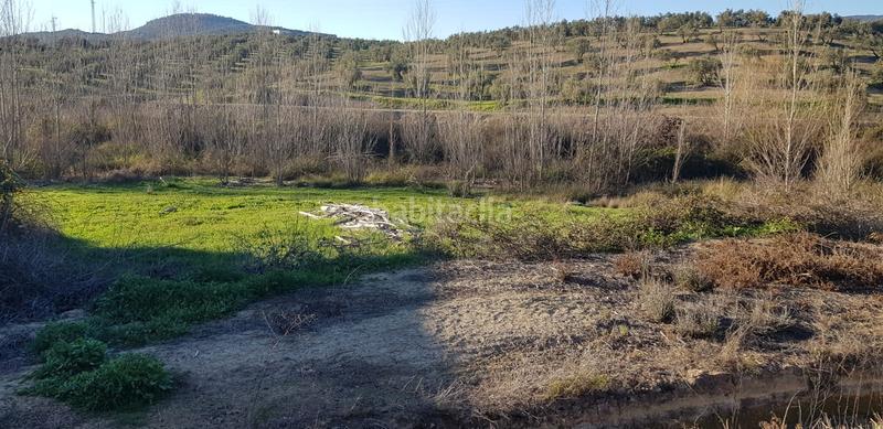 Foto 7f725d6c-cb4c-40d1-b74e-fc649d5aa91e. Landgut in n/a in Alcaudete