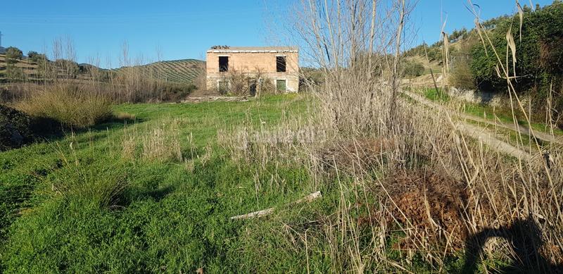 Foto df6aabfc-5d61-43d9-83de-731a301fd8ea. Landgut in n/a in Alcaudete