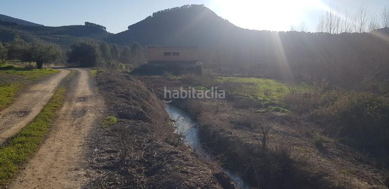 Foto ec94379f-cbbc-4974-964a-4f15cb935baf. Landgut in n/a in Alcaudete