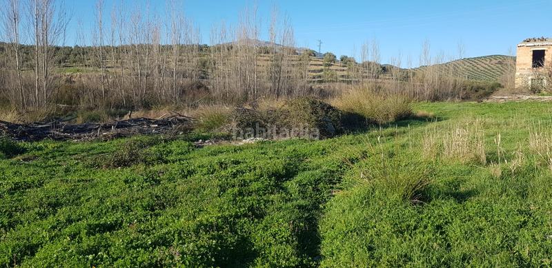 Foto f1bfb8dd-2d92-469e-a669-07c014a4e84a. Landgut in n/a in Alcaudete