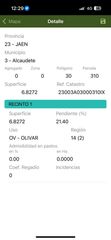 Fondo rustico in Alcaudete. 13 fanegas de olivos aproximadamente en el chaparral