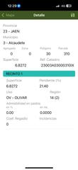 Finca rústica a Alcaudete. 14 fanegas de olivos aproximadamente en el chaparral