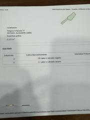 Finca rústica a Alcaudete. Dos huertas independientes unidas en el puente palomilla!