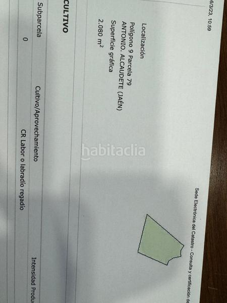 Foto dbfaafa9-b495-4484-a648-443214e3a9b8. Propriété dans Alcaudete