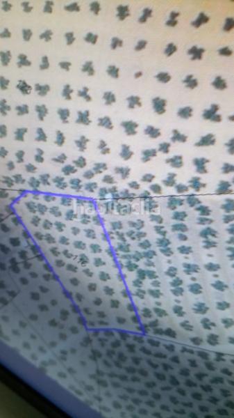 Foto ed22278d-4b66-4f51-a21e-f9d05b7abc3e. Propriété dans Alcaudete