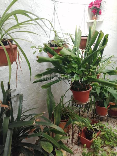 Foto be6cc73e-09c4-46f3-b288-a88667f1f133. Finca rústica a n/a a Castillo de Locubín