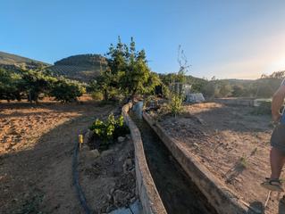 Finca rústica a Alcaudete. Preciosa huerta y 112 olivos marteños(mas de fanega y media) de