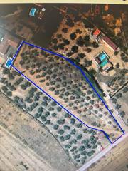 Finca rústica en N/a. Excelente huerta en el puente palomilla