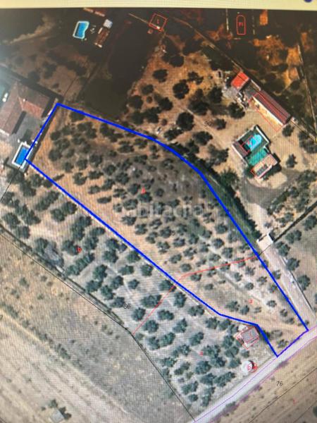 Foto 03f8ea88-a17e-4bed-97a5-e389c640cabc. Propriété dans n/a dans Alcaudete