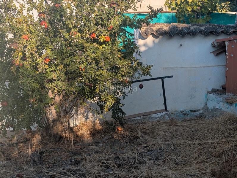 Foto 2cdb66ff-3ae7-4823-9fdd-699c11772663. Casa in Alcaudete