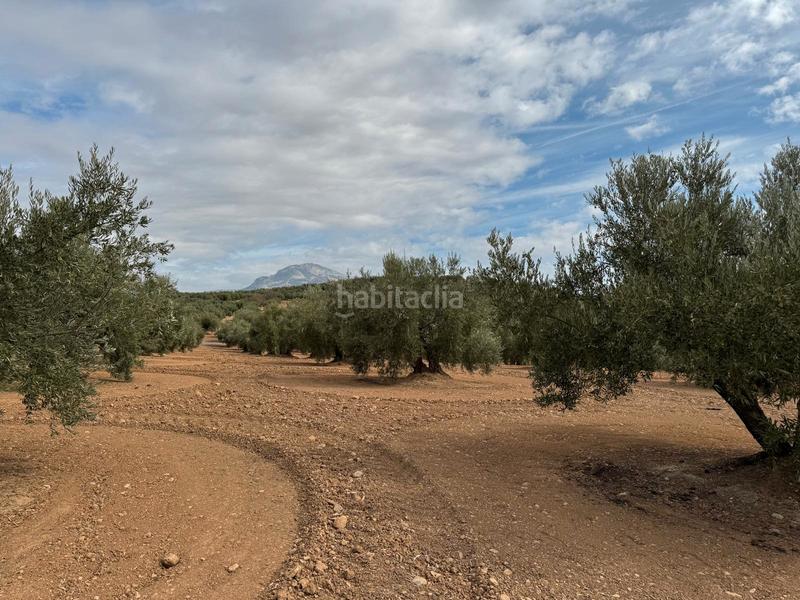 Foto 4498678e-639f-4501-8e7d-fa8e41726ec5. Propriété dans Alcaudete