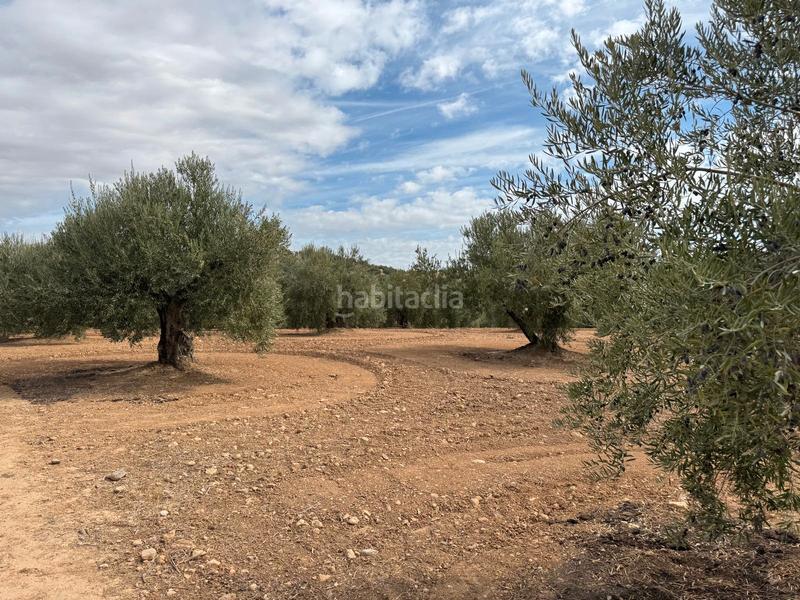 Foto 569e1229-7f69-45ac-aec1-63859864103d. Propriété dans Alcaudete