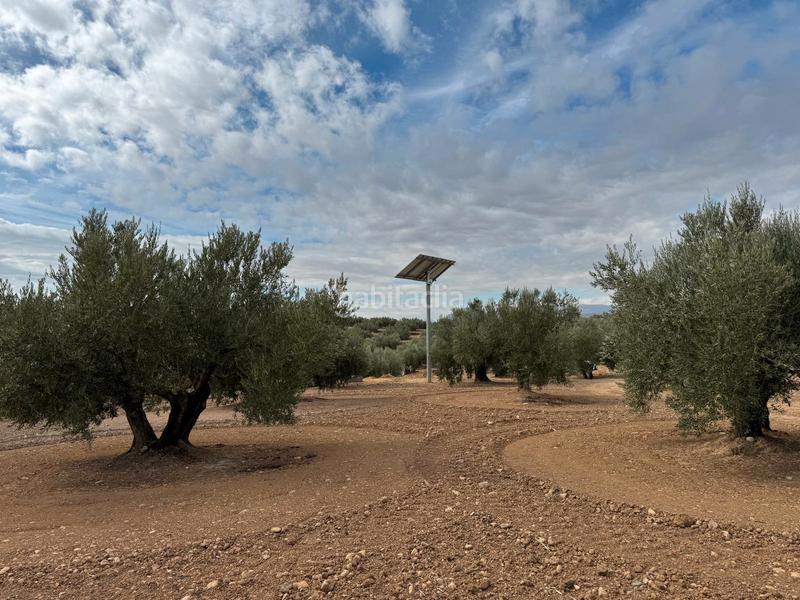 Foto b8a9fac1-5cbe-4fd2-8b66-5238f2bfcb0b. Propriété dans Alcaudete