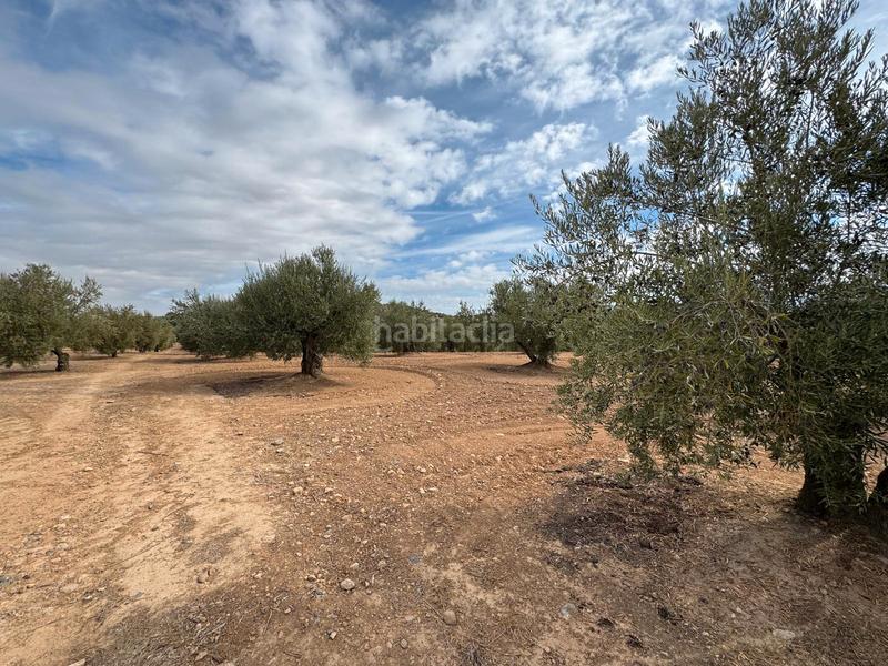 Foto f137d26a-155a-4951-b70a-a7d1b4880231. Propriété dans Alcaudete