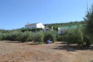 Chalet in Alcaudete. Bonita casa en la rivera del rio san juan con piscina, pozo lega