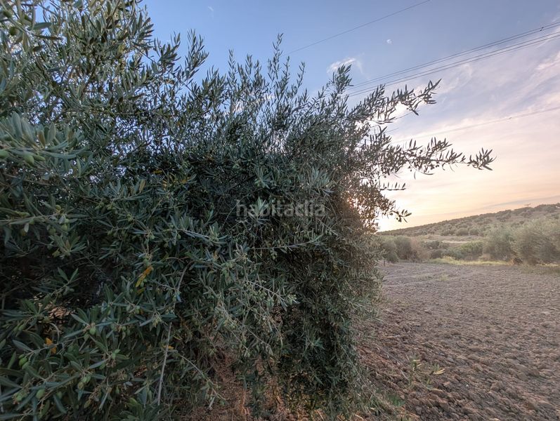 Foto 6a0f28c6-0983-4236-b94c-e94d206d67c9. Finca rústica a n/a a Lopera