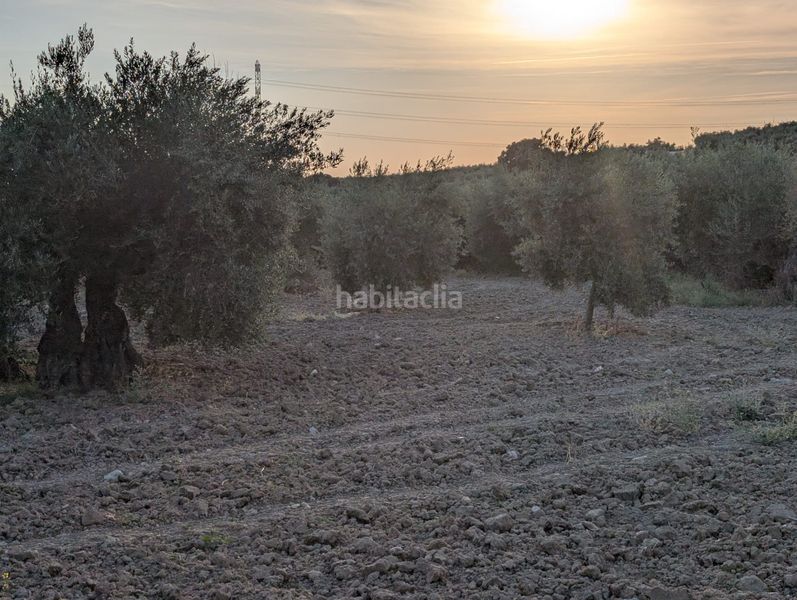 Foto a9404e70-f859-4847-948e-29de909a74b0. Finca rústica a n/a a Lopera