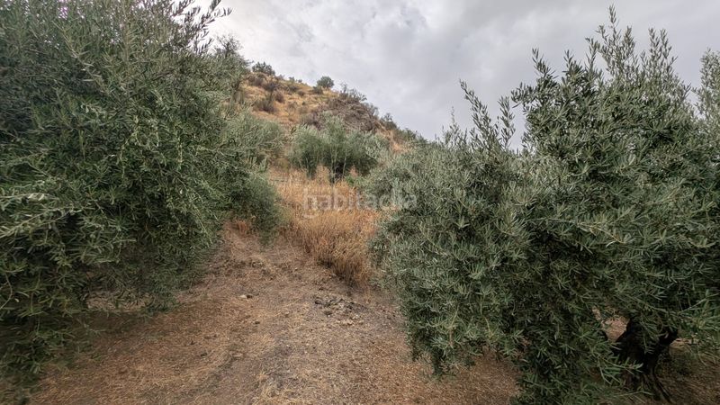 Foto c5db33d6-d0ef-4701-aaff-87c655d342dd. Finca rústica a n/a a Alcaudete