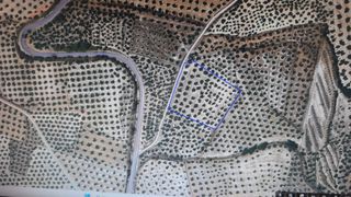 Finca rústica a Alcaudete. Finca sobre dos fanegas de tierra frutera, muy cercana alcaudete