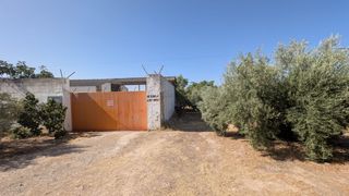 Affitto Capannone industriale in Cañada alcalá 78. Parcela con nave para alquilar, antigua nave del butano a la sal