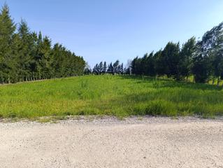 Landgut in El Juncal - Vallealto. Se vende parcela rústica a pagar en 2 veces