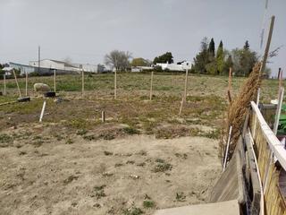Finca rústica a Carretera cartuja-pino solete 13. Parcela rústica con escrituras