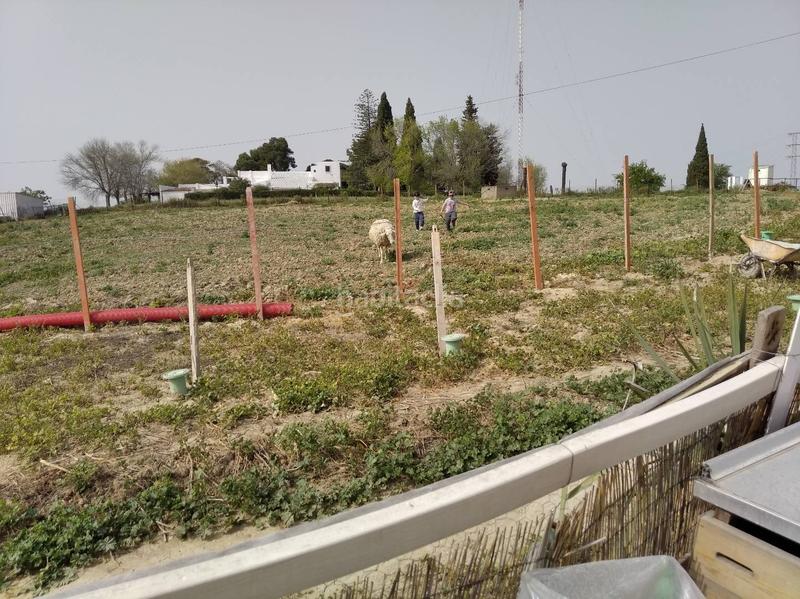Foto 41f67344-2db7-47ef-86fa-9bf5f7e38887. Finca rústica a carretera cartuja-pino solete 13 a Jerez de la Frontera