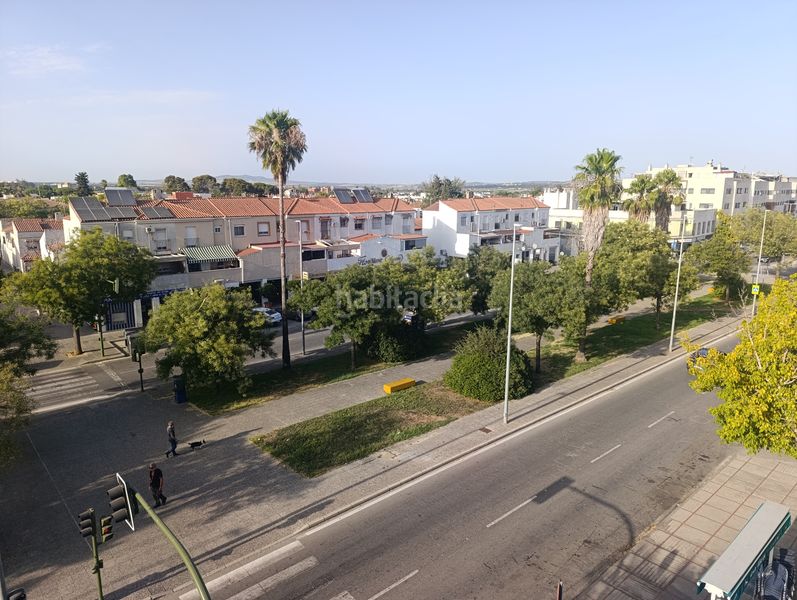 Foto a61c0934-1146-4a8b-b205-be6966b0974a. Pis a El Rocío - La Milagrosa Jerez de la Frontera