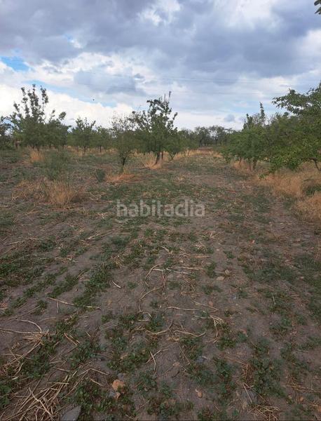 Foto 0a609864-0b61-43c5-98bd-0ac1f31e36a4. Finca rústica se vende 7000 metros terreno en Lanteira