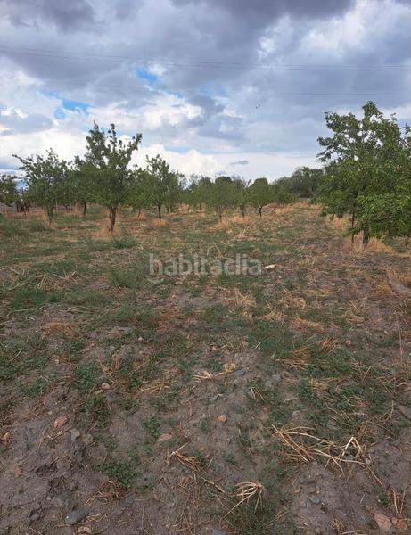 Foto 4b6d9d43-cdf9-4a59-a6cd-96f36a8f05e6. Finca rústica se vende 7000 metros terreno en Lanteira