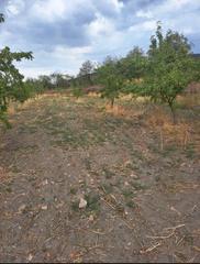 Finca rústica a Lanteira. Se vende 7000 metros terreno en lanteira