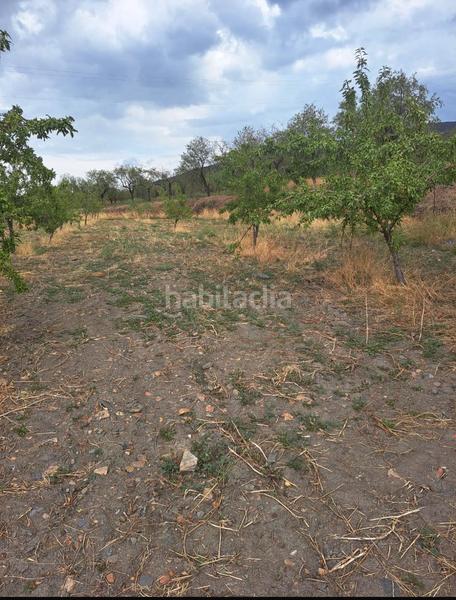 Foto 4b73b304-0eff-44d5-a1af-4fc0038619ae. Finca rústica se vende 7000 metros terreno en Lanteira