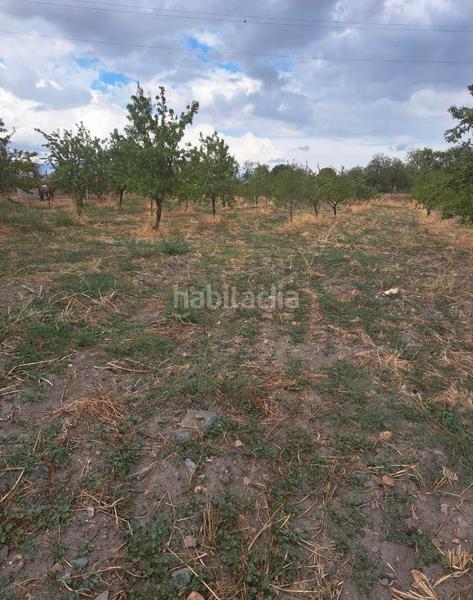 Foto 5804726a-4123-4cc9-b0b9-13a3bdf6fa9f. Finca rústica se vende 7000 metros terreno en Lanteira