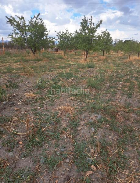 Foto 5c786da1-3695-4a68-ac71-9efae3d6168e. Finca rústica se vende 7000 metros terreno en Lanteira