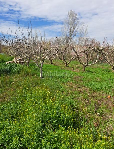 Foto 2c8618db-5275-4804-8a3b-df47ef494b2d. Finca rústica se vende campo con casita en Guadix