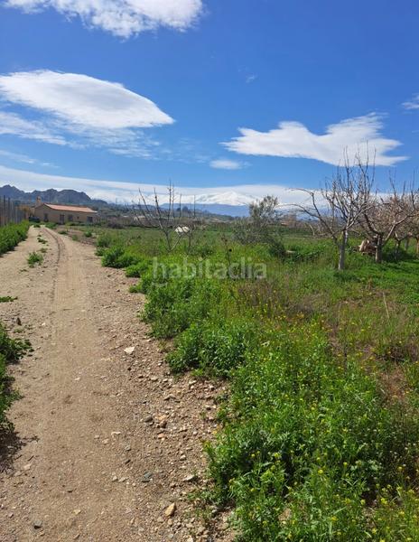 Foto 58ee19f4-8121-449e-a250-0a797bb78a29. Finca rústica se vende campo con casita en Guadix