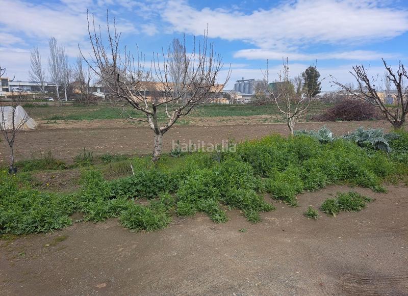 Foto 98e804c3-68d5-4215-a286-dacf06dcf63e. Finca rústica se vende campo con casita en Guadix