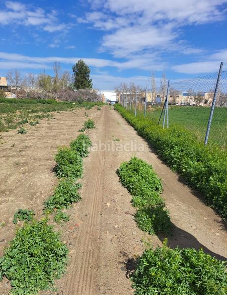 Foto d314429a-7965-4cf2-8d87-b711423dfb31. Finca rústica se vende campo con casita en Guadix