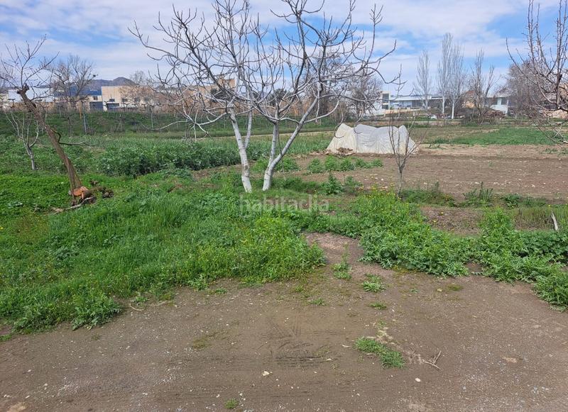 Foto e1555591-30a5-40fb-9161-e749646efcb9. Finca rústica se vende campo con casita en Guadix