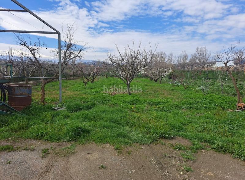 Foto eb8e915c-f79f-498b-bac4-baad1eb88e1a. Finca rústica se vende campo con casita en Guadix