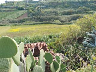 Finca rústica  Lugar el saucillo
