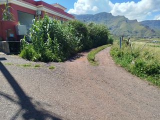 Finca rústica  Calle subida las rosas