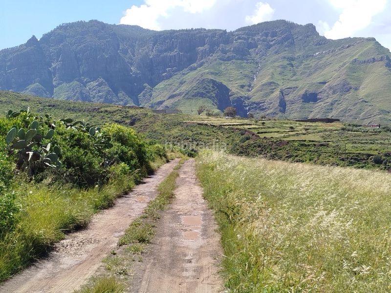 Foto 93dc5182-69e4-4203-9395-0db80dfe1270. Finca rústica a Los Quintana - Piso Firme Gáldar