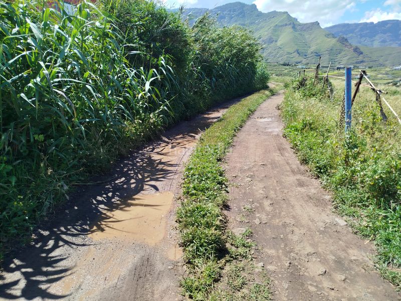 Foto d2b2957f-2d92-4c6a-a833-5043e73334fc. Finca rústica en Los Quintana - Piso Firme Gáldar