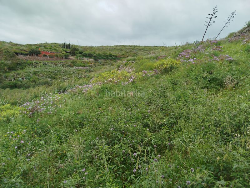 Foto 00e66ea3-ef89-46ad-9383-a3e5ae361e82. Finca rústica a calle melian 6 a Los Quintana - Piso Firme Gáldar