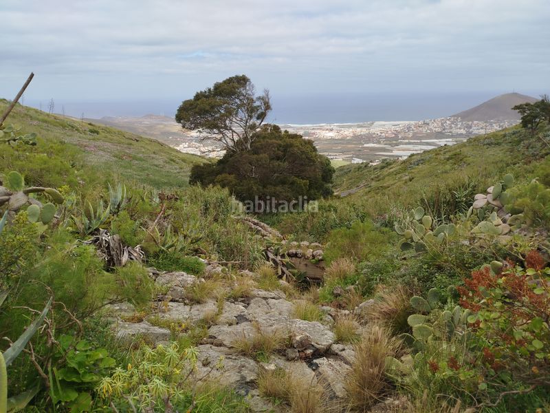 Foto 0bc075fd-d420-4783-a3e0-7434b1b10cac. Finca rústica a calle melian 6 a Los Quintana - Piso Firme Gáldar
