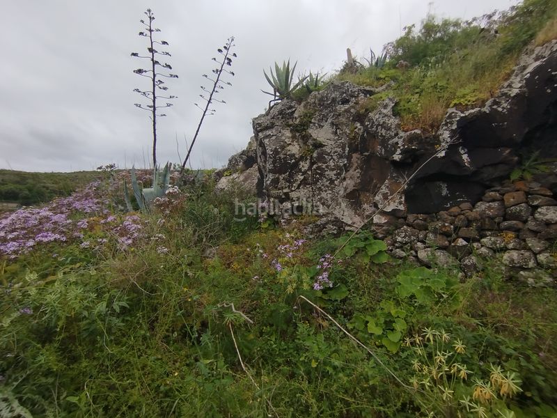 Foto 10630b78-55a5-49fa-afdc-e0a558c2135b. Finca rústica a calle melian 6 a Los Quintana - Piso Firme Gáldar